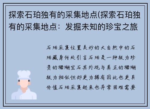 探索石珀独有的采集地点(探索石珀独有的采集地点：发掘未知的珍宝之旅)